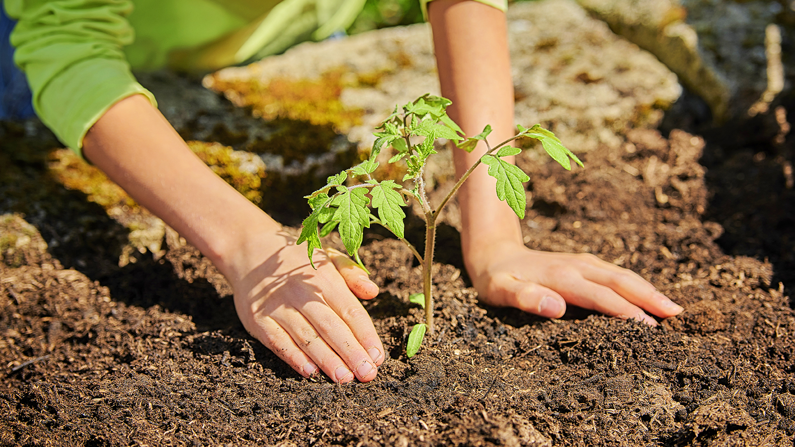 Gardening